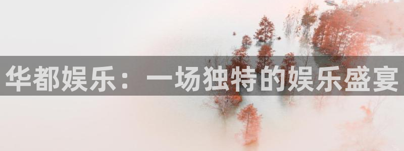 运达娱乐平台注册账号：华都娱乐：一场独特的娱乐盛宴