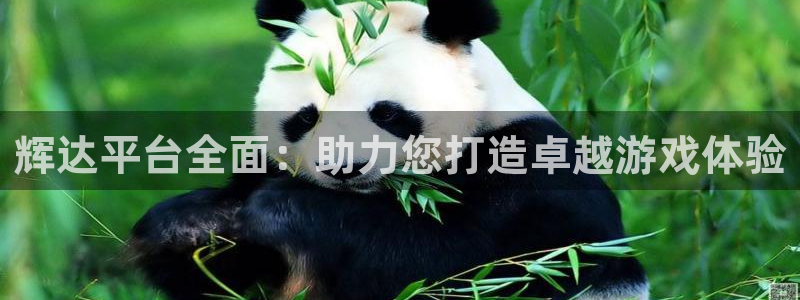 运达娱乐官网下载：辉达平台全面：助力您打造卓越游戏体验