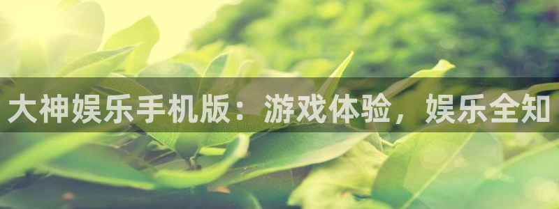 运达娱乐体育注册代理：大神娱乐手机版：游戏体验，娱乐全知