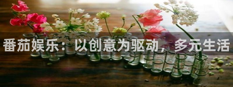 运达娱乐下载入口：番茄娱乐：以创意为驱动，多元生活