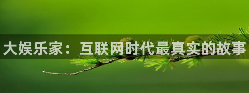 运达娱乐体育凯捷平台代理：大娱乐家：互联网时代最真实的故事