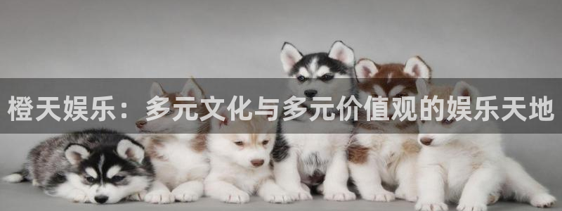运达娱乐下载入口：橙天娱乐：多元文化与多元价值观的娱乐天地