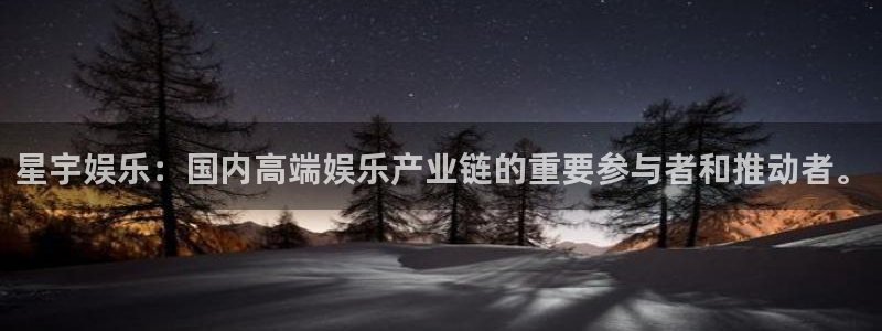 德国运达娱乐集团：星宇娱乐：国内高端娱乐产业链的重要参与者和推动者。