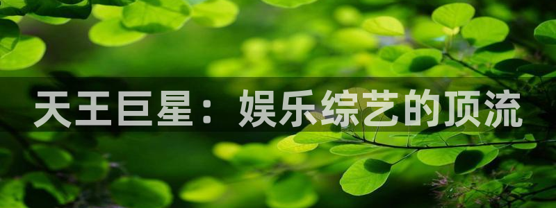 运达娱乐平台官网版下载：天王巨星：娱乐综艺的顶流