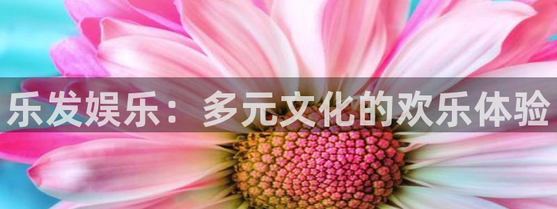 运达娱乐平台官方网站：乐发娱乐：多元文化的欢乐体验
