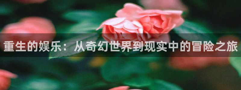 运达娱乐路线1：重生的娱乐：从奇幻世界到现实中的冒险之旅