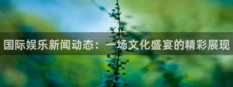 运达娱乐平台官方入口下载：国际娱乐新闻动态：一场文化盛宴的精彩展现