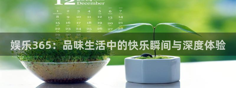 运达娱乐4代理：娱乐365：品味生活中的快乐瞬间与深度体验