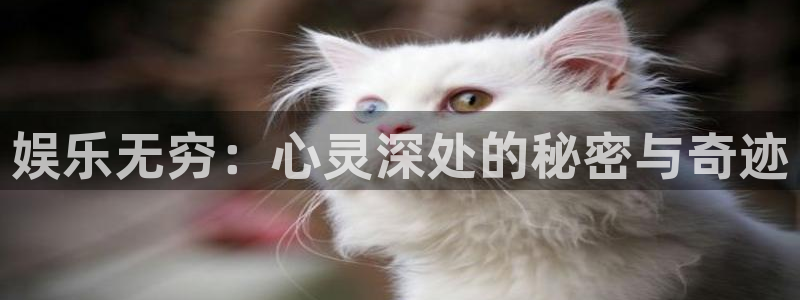 运达娱乐2体育登录入口：娱乐无穷：心灵深处的秘密与奇迹