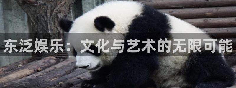 运达娱乐平台管网入口：东泛娱乐：文化与艺术的无限可能