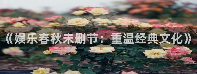 运达娱乐注册链接入口：《娱乐春秋未删节：重温经典文化》