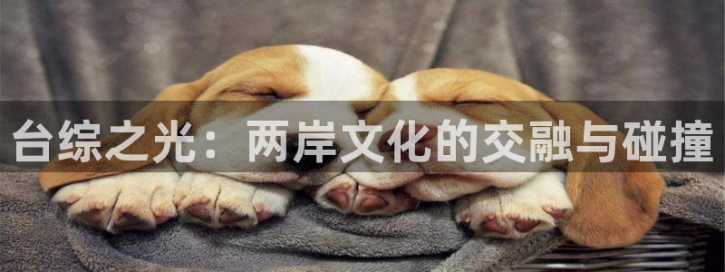 运达娱乐5：台综之光：两岸文化的交融与碰撞