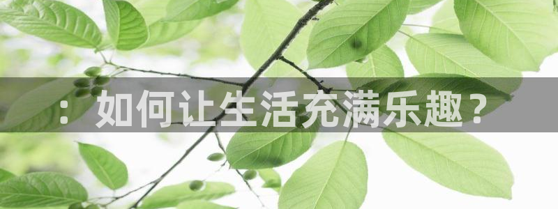 运达娱乐怎么下载：：如何让生活充满乐趣？