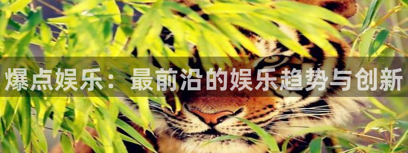 运达娱乐游戏：爆点娱乐：最前沿的娱乐趋势与创新