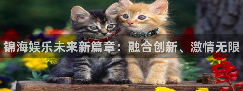运达娱乐股份