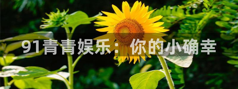 运达娱乐电子游戏网页版：91青青娱乐：你的小确幸