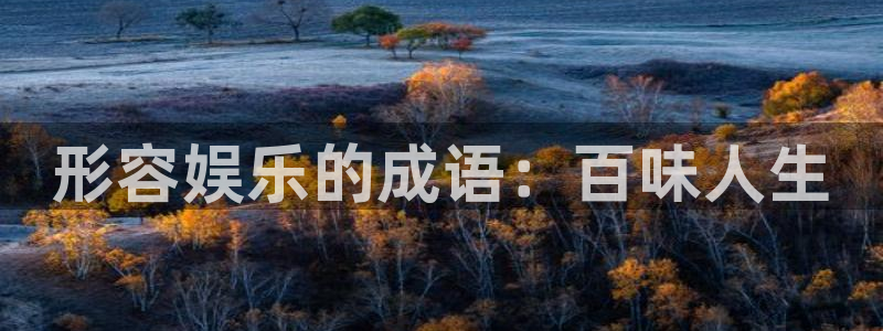 运达娱乐平台登录入口：形容娱乐的成语：百味人生