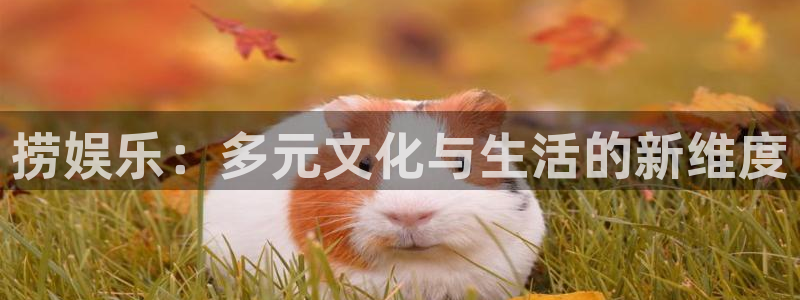 运达娱乐加拿大官网
