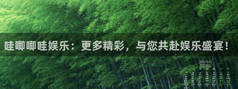 运达娱乐app下载：哇唧唧哇娱乐：更多精彩，与您共赴娱乐盛宴！