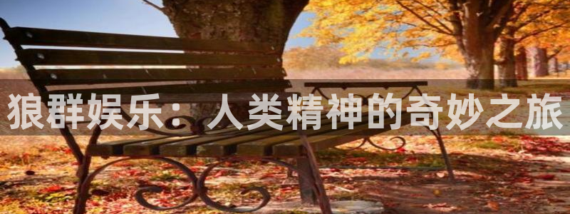 运达娱乐体育eon：狼群娱乐：人类精神的奇妙之旅