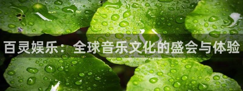 运达娱乐游戏官网入口：百灵娱乐：全球音乐文化的盛会与体验