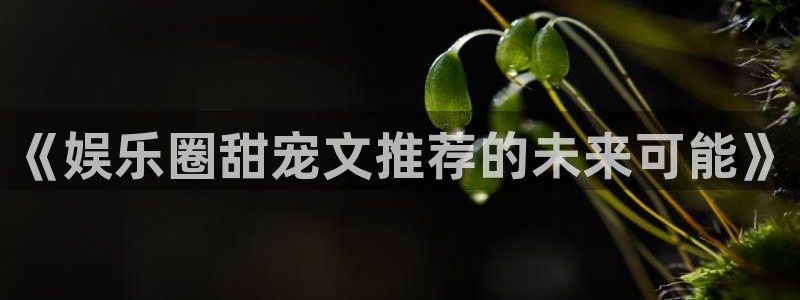 运达娱乐登录：《娱乐圈甜宠文推荐的未来可能》