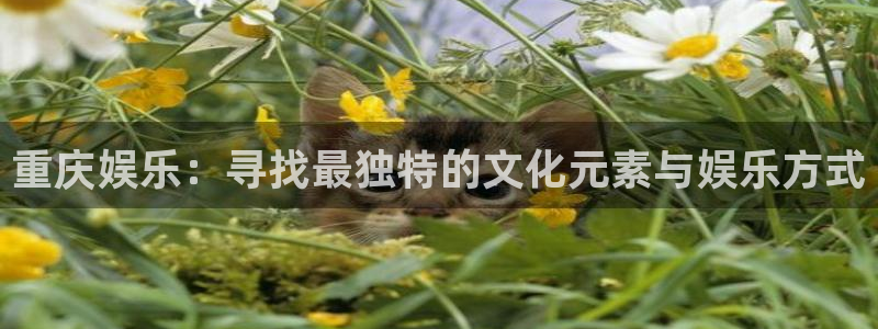 运达娱乐体育凯捷代理注册：重庆娱乐：寻找最独特的文化元素与娱乐方式