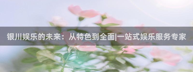 运达娱乐主管：银川娱乐的未来：从特色到全面|一站式娱乐服务专家