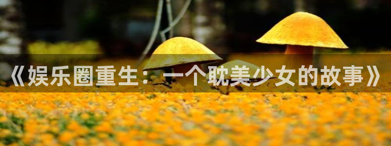 运达娱乐2平台登录：《娱乐圈重生：一个耽美少女的故事》
