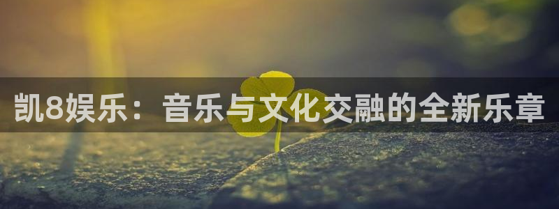 运达娱乐登录界面入口：凯8娱乐：音乐与文化交融的全新乐章