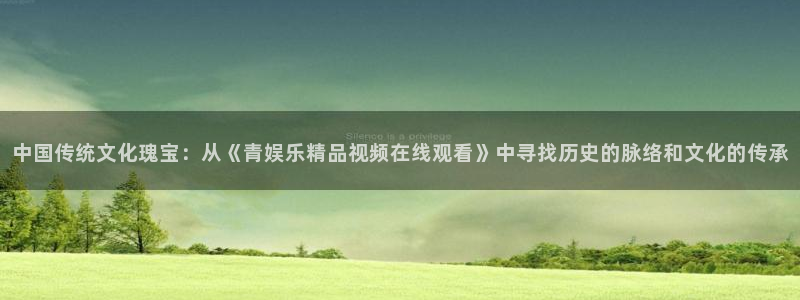 运达娱乐包怎么样：中国传统文化瑰宝：从《青娱乐精品视频在线观看》中寻找历史的脉络和文化的传承