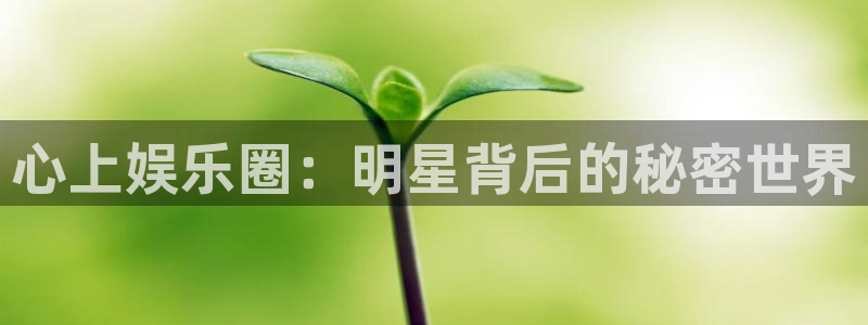 运达娱乐体育凯捷平台注册：心上娱乐圈：明星背后的秘密世界