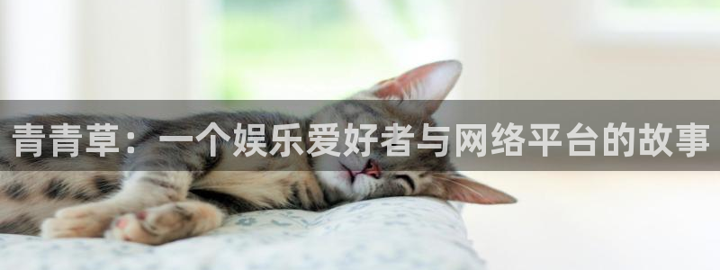 运达娱乐注册：青青草：一个娱乐爱好者与网络平台的故事