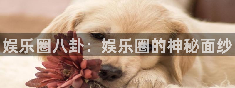 运达娱乐预测在线预测：娱乐圈八卦：娱乐圈的神秘面纱