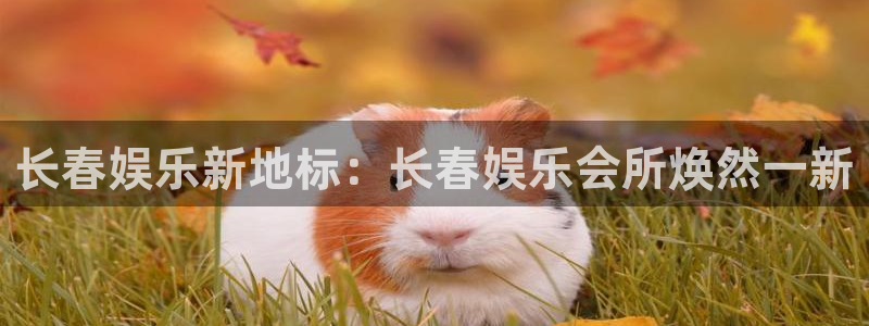 运达娱乐电子有限公司：长春娱乐新地标：长春娱乐会所焕然一新