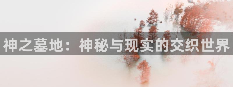 运达娱乐主管：神之墓地：神秘与现实的交织世界
