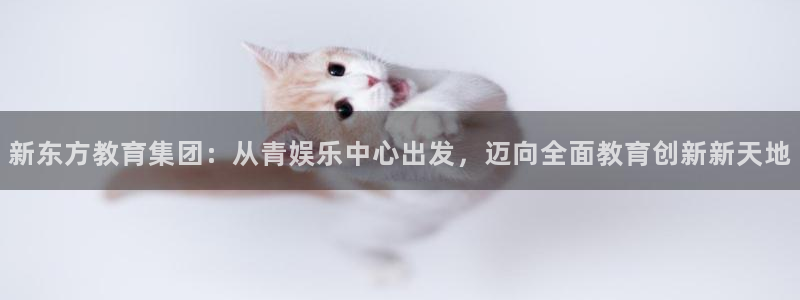 运达娱乐.ccmpc正版官网版下载：新东方教育集团：从青娱乐中心出发，迈向全面教育创新新天地