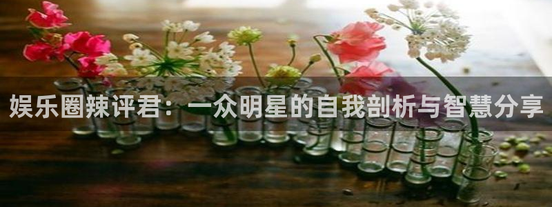 运达娱乐体育3在线注册：娱乐圈辣评君：一众明星的自我剖析与智慧分享
